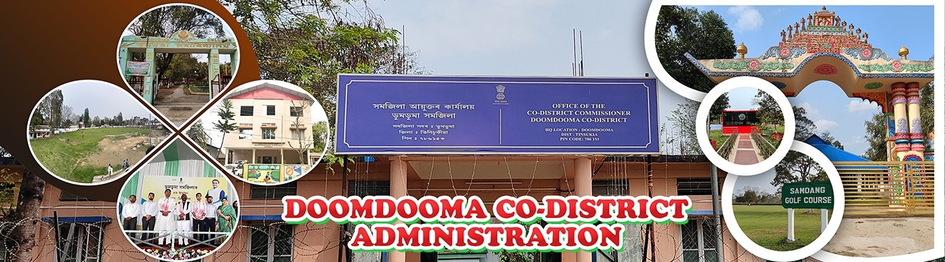 doomdooma slider